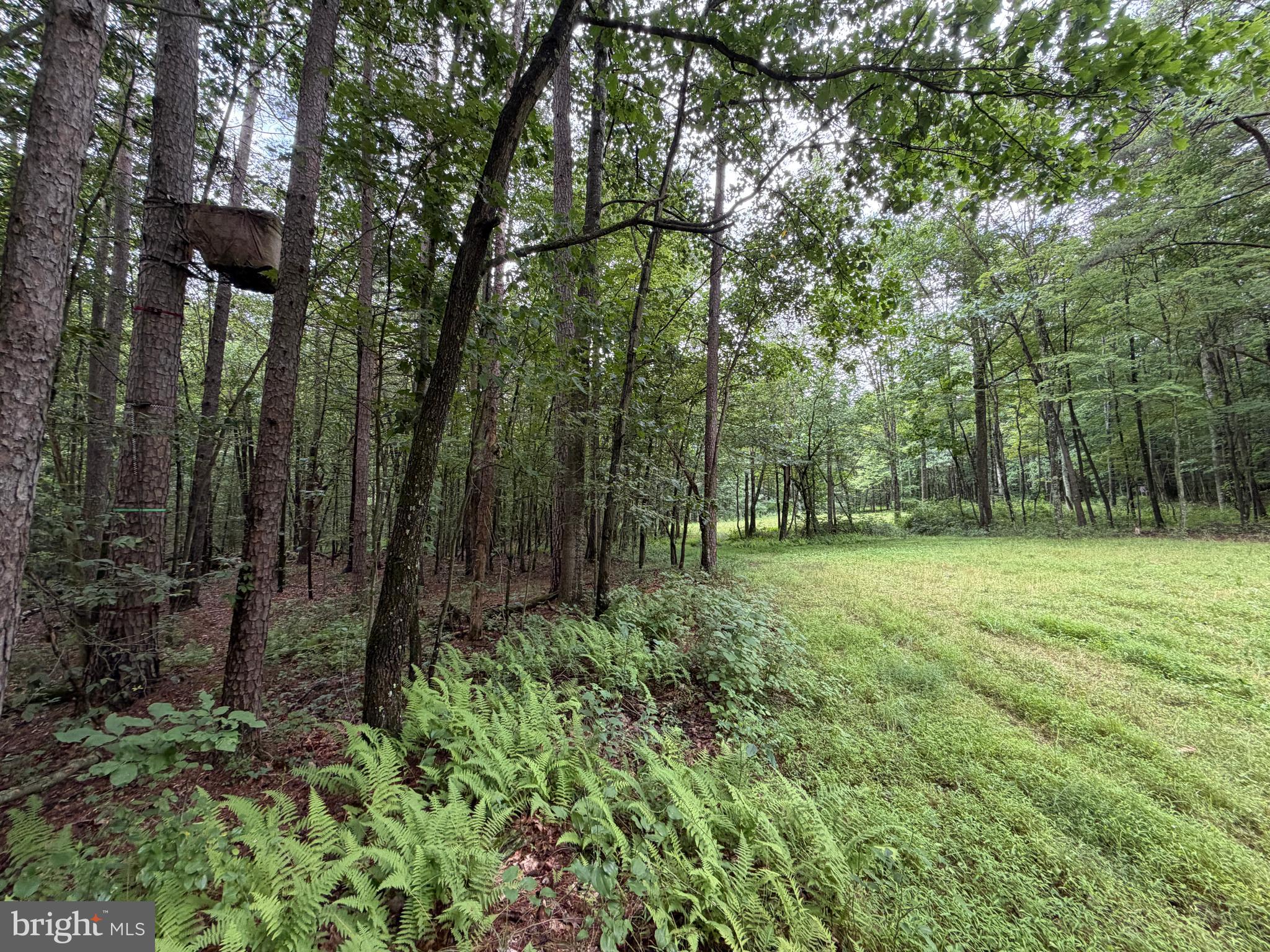 17147 Sugar Run Road Shirleysburg, PA 17260 - Photo 130 of 148