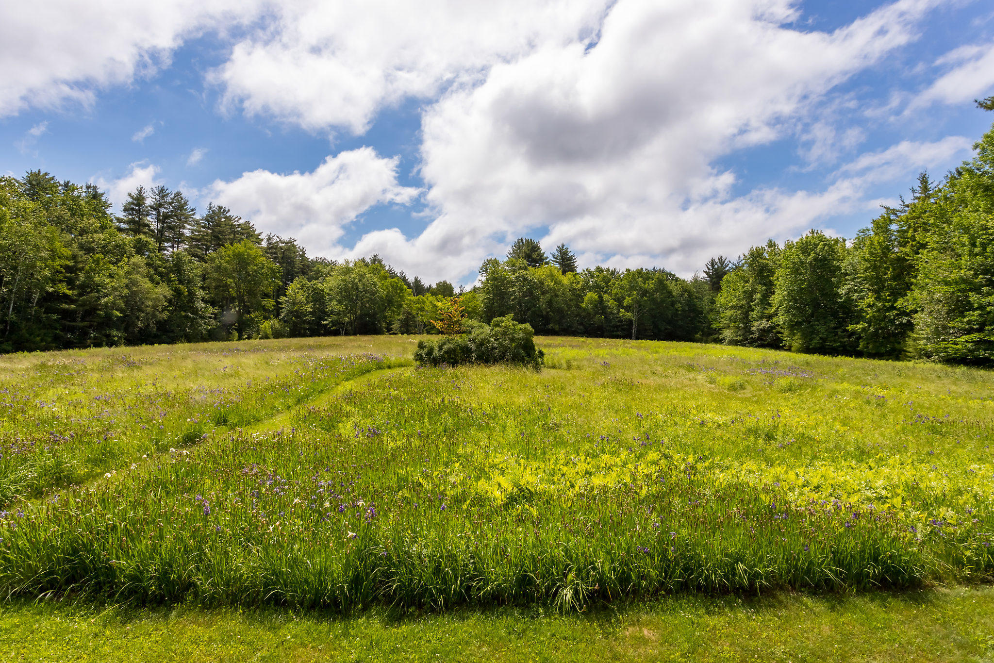 43 Prospect Hill Road Lebanon, ME 04027 - Photo 21 of 24 2019_06_26 43ProspectHillRd-012-SMALL
