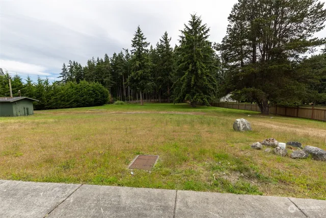 a view of a trees in a yard