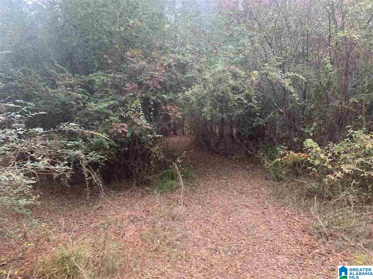 0 Homestead Drive, Unit 1 Springville, AL 35146 - Photo 6 of 32