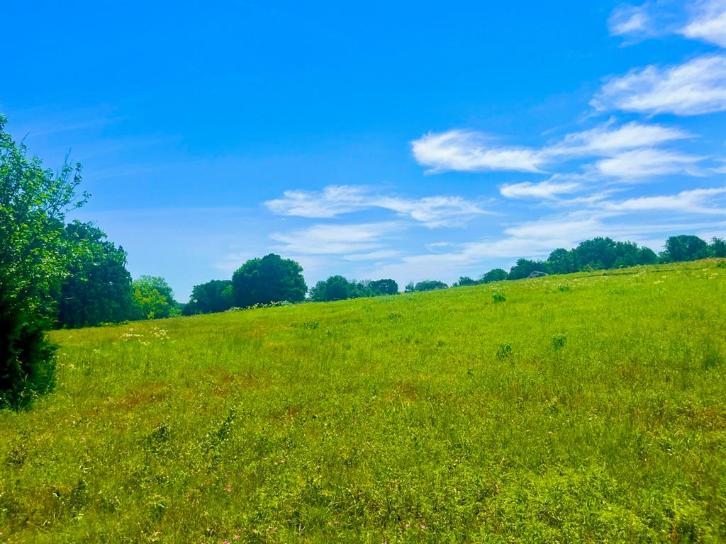 Lot 102 East Arlo Road Harker Heights, TX 76548 - Photo 3 of 9 a view of a grassy field with an trees
