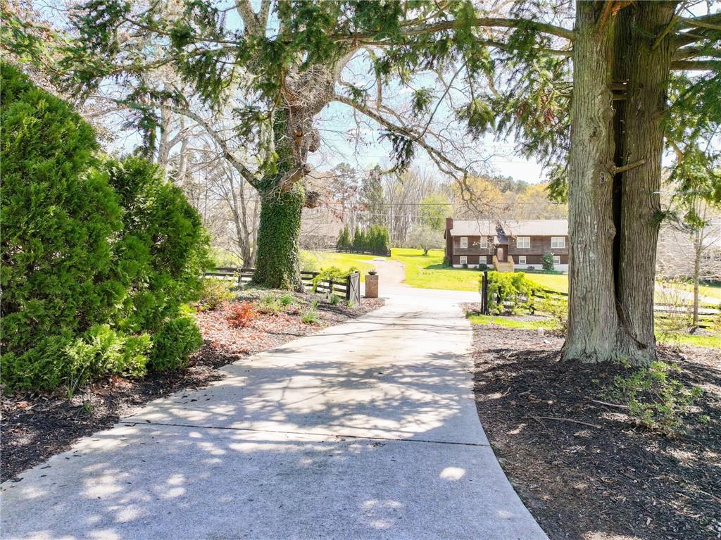 7093 Vaughn Road Woodstock, GA 30188 - Photo 73 of 86 a view of a yard with plants and large trees