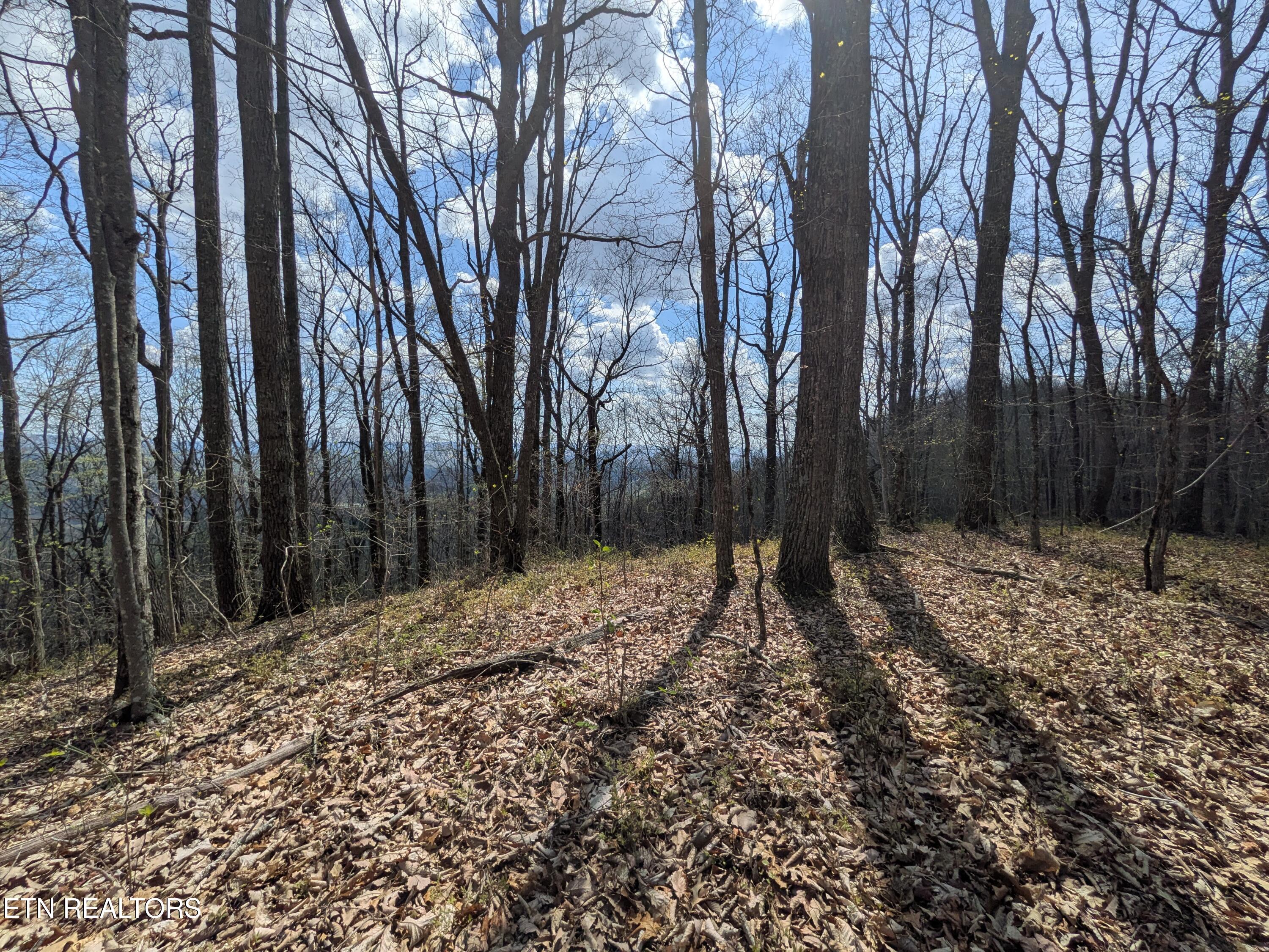 Short Moutain Road Sneedville, TN 37869 - Photo 11 of 18 PXL_20260411_190606268