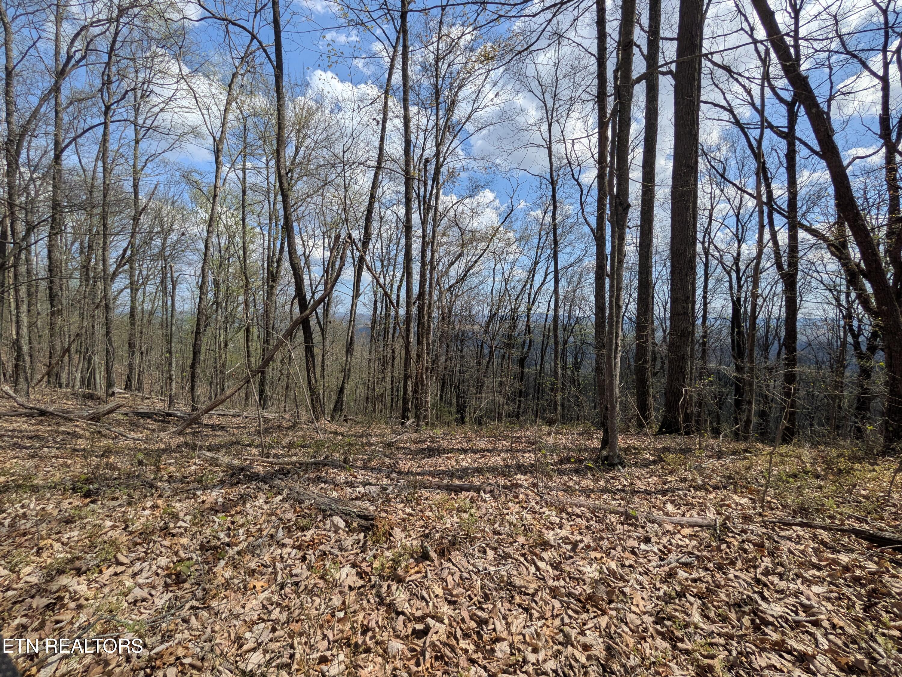 Short Moutain Road Sneedville, TN 37869 - Photo 12 of 18 PXL_20260411_190603549