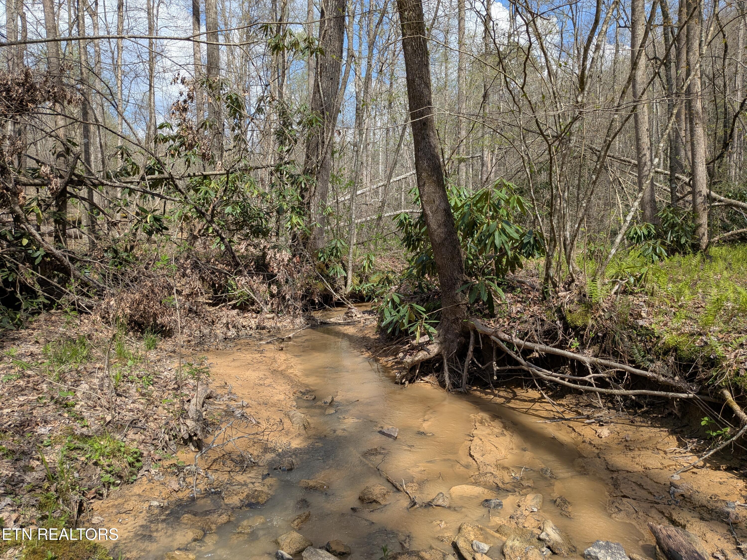 Short Moutain Road Sneedville, TN 37869 - Photo 16 of 18 PXL_20260411_192031536