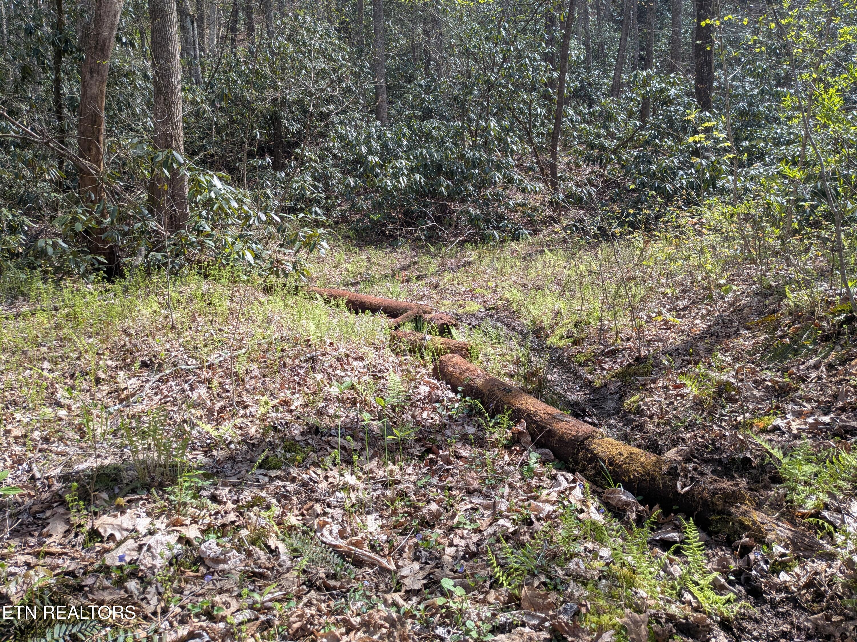 Short Moutain Road Sneedville, TN 37869 - Photo 17 of 18 PXL_20260411_192037475