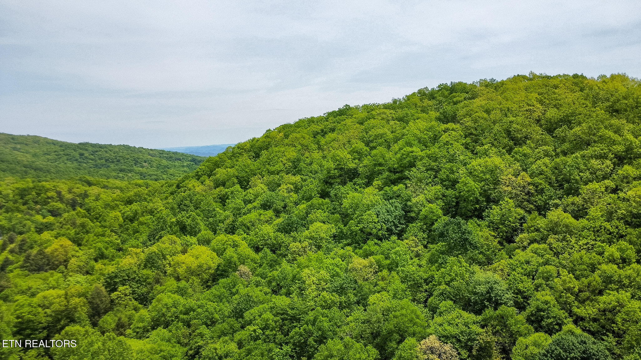 Short Moutain Road Sneedville, TN 37869 - Photo 2 of 18 dji_fly_20260504_125538_6_1777913757296_