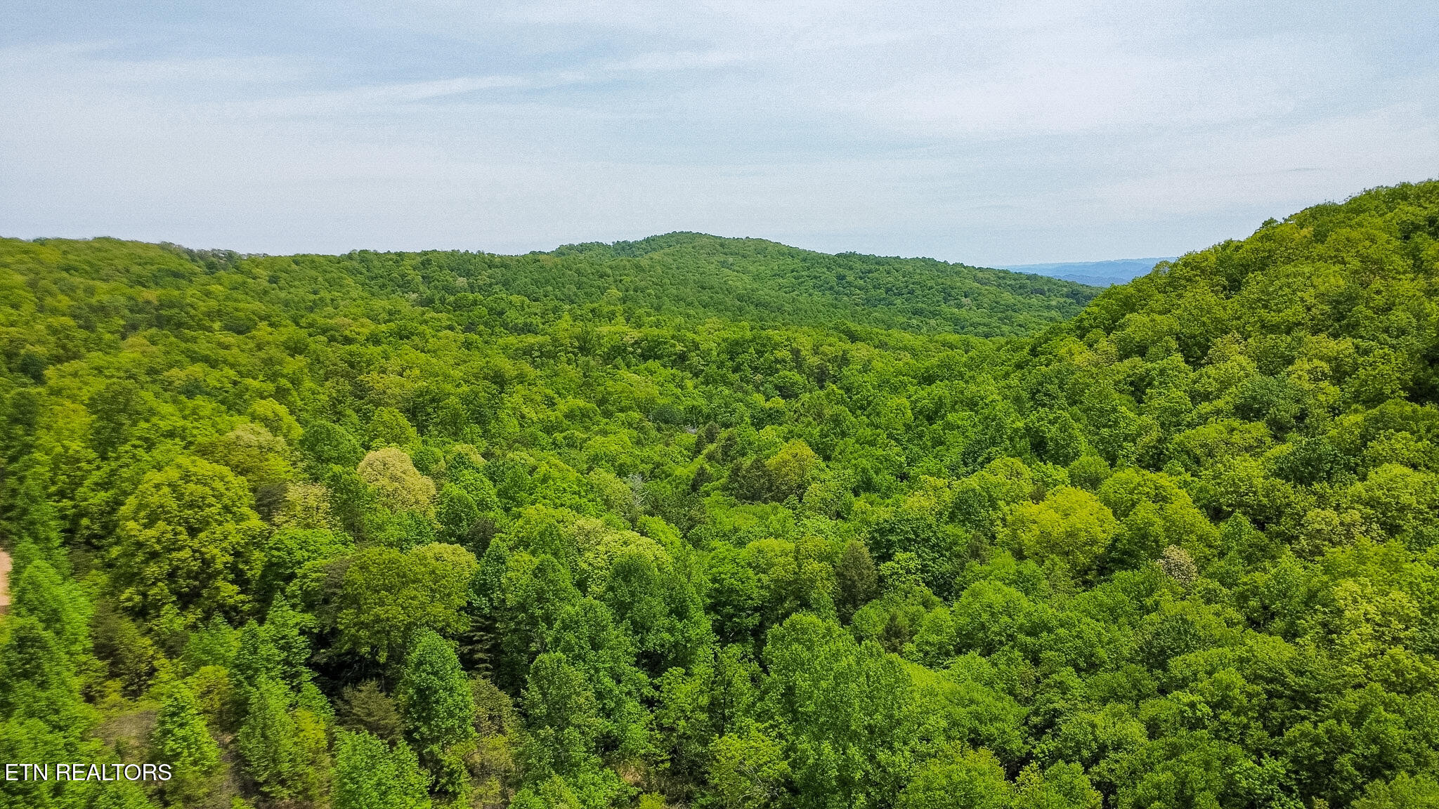 Short Moutain Road Sneedville, TN 37869 - Photo 3 of 18 dji_fly_20260504_125546_7_1777913754269_