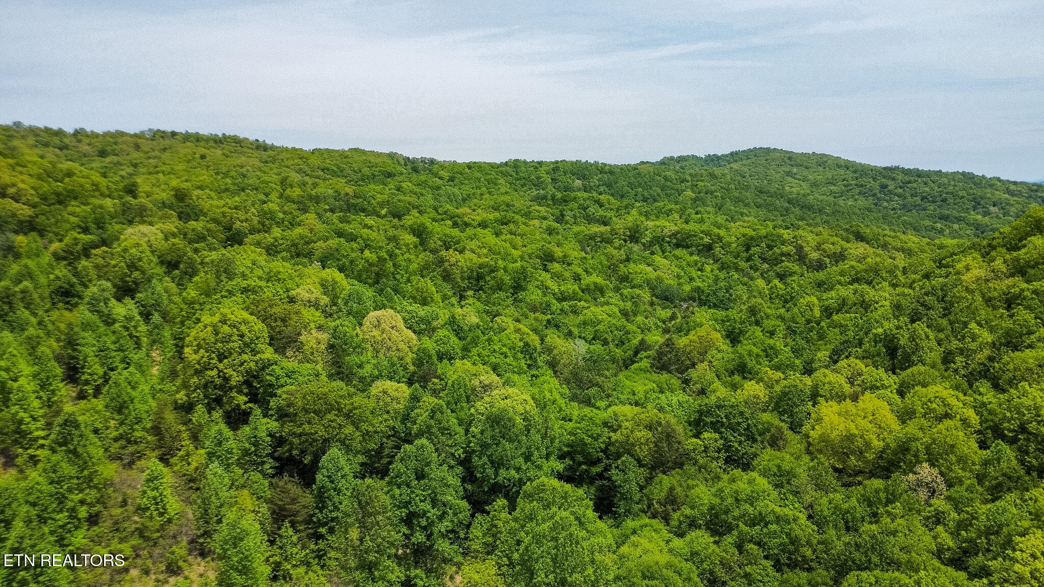 Short Moutain Road Sneedville, TN 37869 - Photo 4 of 18 dji_fly_20260504_125914_14_1777914256314