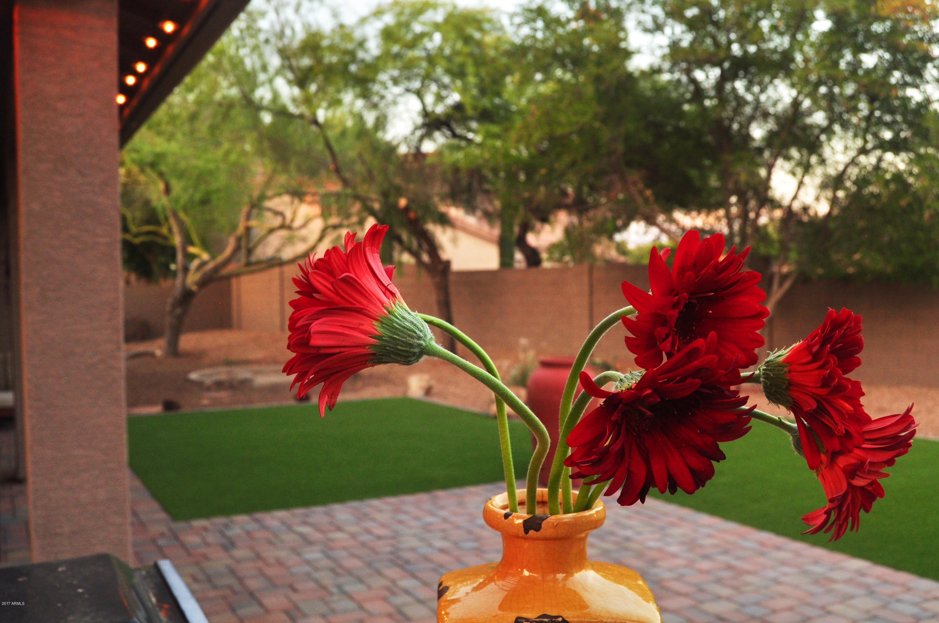 26203 North 44th Place Phoenix, AZ 85050 - Photo 27 of 32 Ultimate Private Backyard