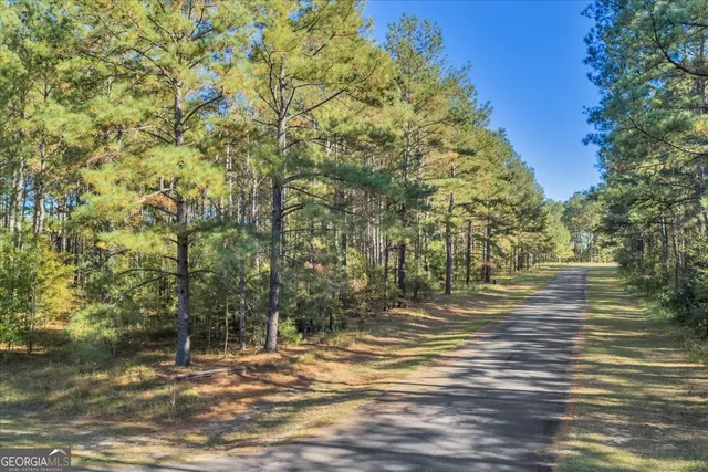 $40,000 | Lot 19 Sweet Magnolia Circle, Dublin, GA 31021