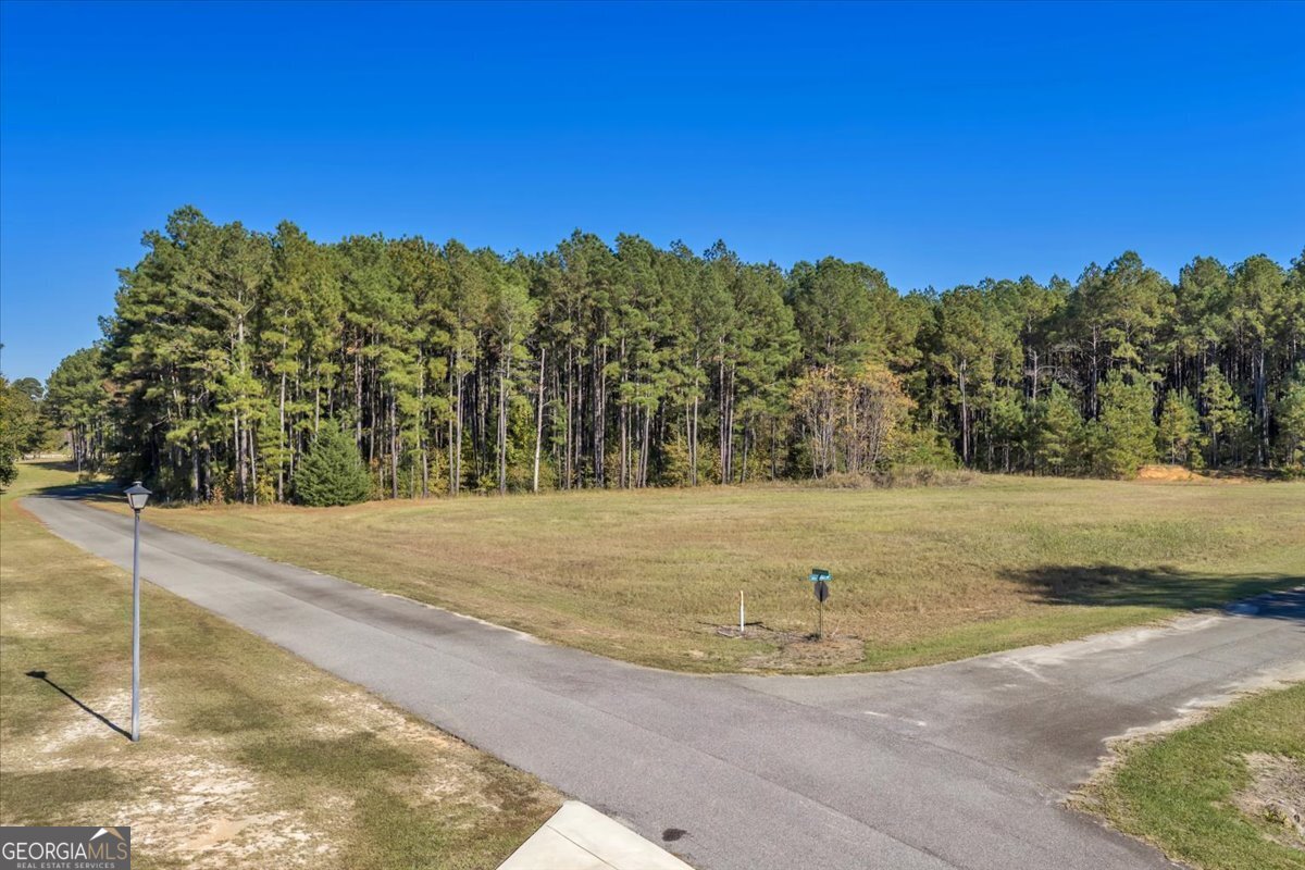 Lot 19 Sweet Magnolia Circle Dublin, GA 31021 - Photo 6 of 23 a view of yard