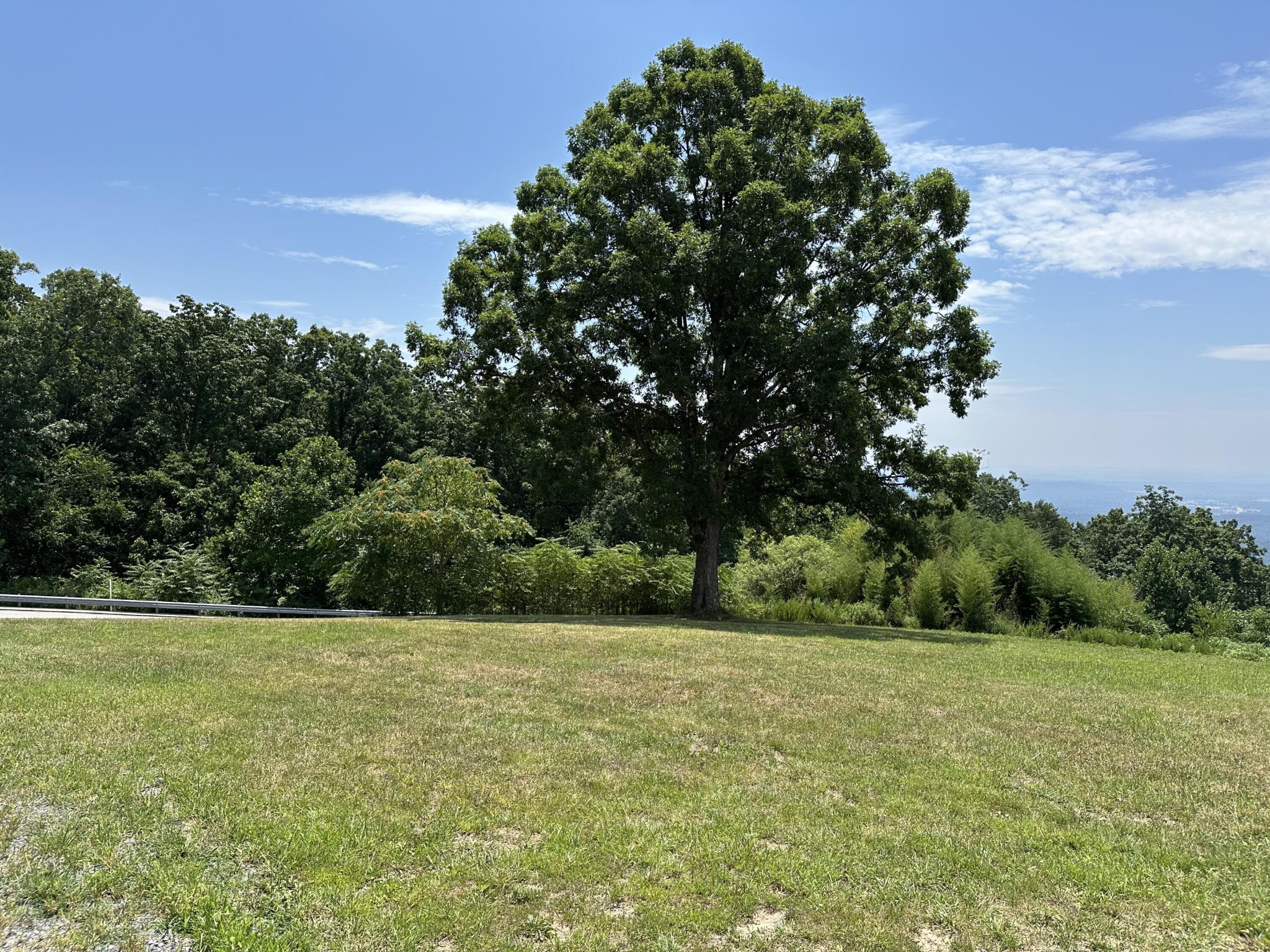 1000 Sawyer Cemetery Road Signal Mountain, TN 37377 - Photo 6 of 17 Gallery Image 6