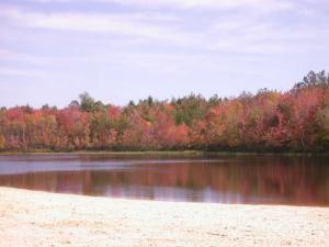 233 Mountain Road Albrightsville, PA 18210 - Photo 12 of 15 MAIN LAKE IN COMMUNITY