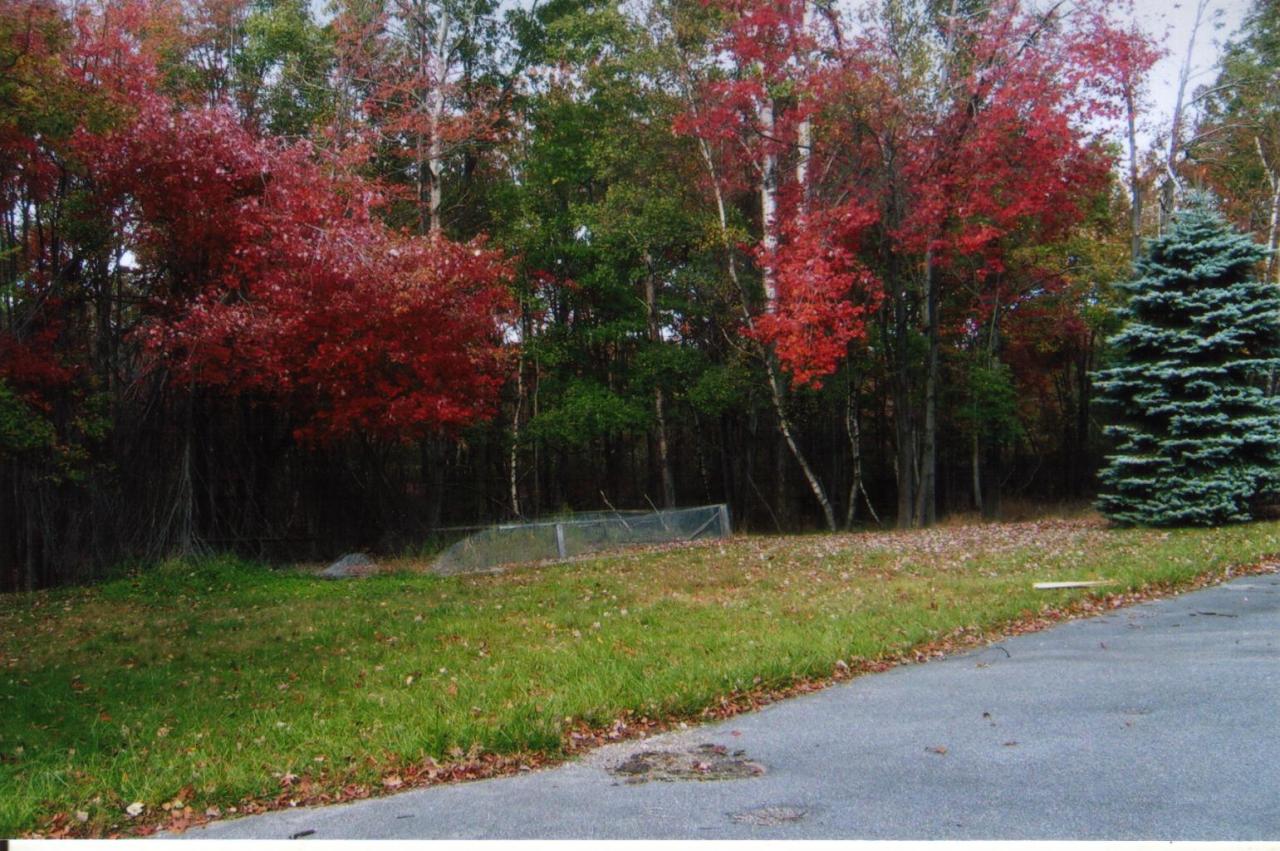 233 Mountain Road Albrightsville, PA 18210 - Photo 4 of 15 YARD