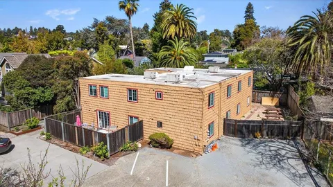 a view of a backyard with plants and a large tree