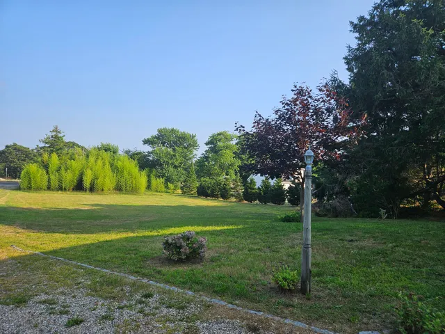 a yard with lots of green space and trees