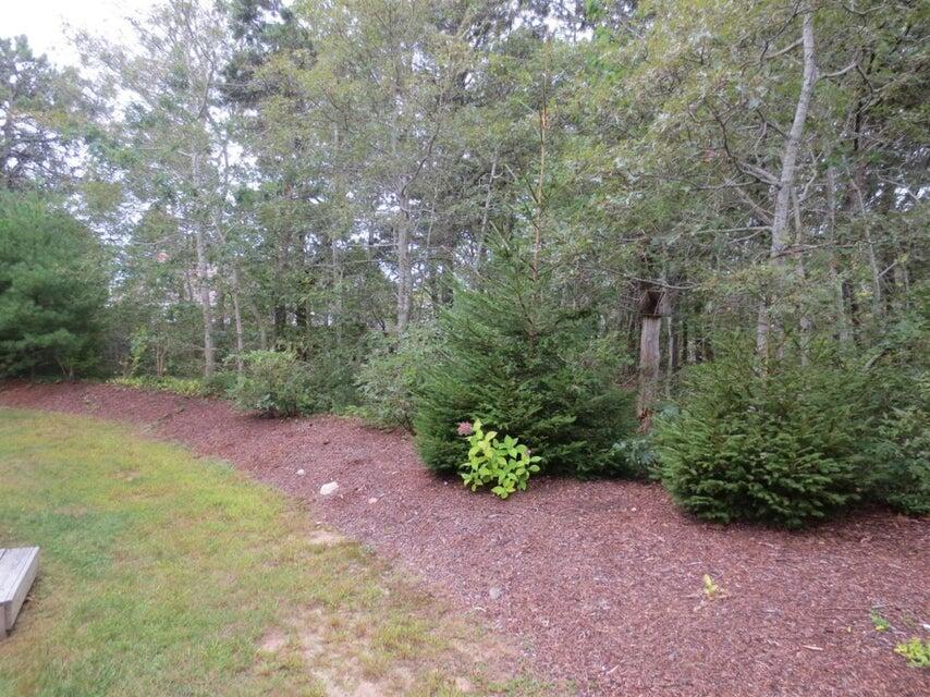 181 George Ryder Road Chatham, MA 02633 - Photo 6 of 24 Rear yard