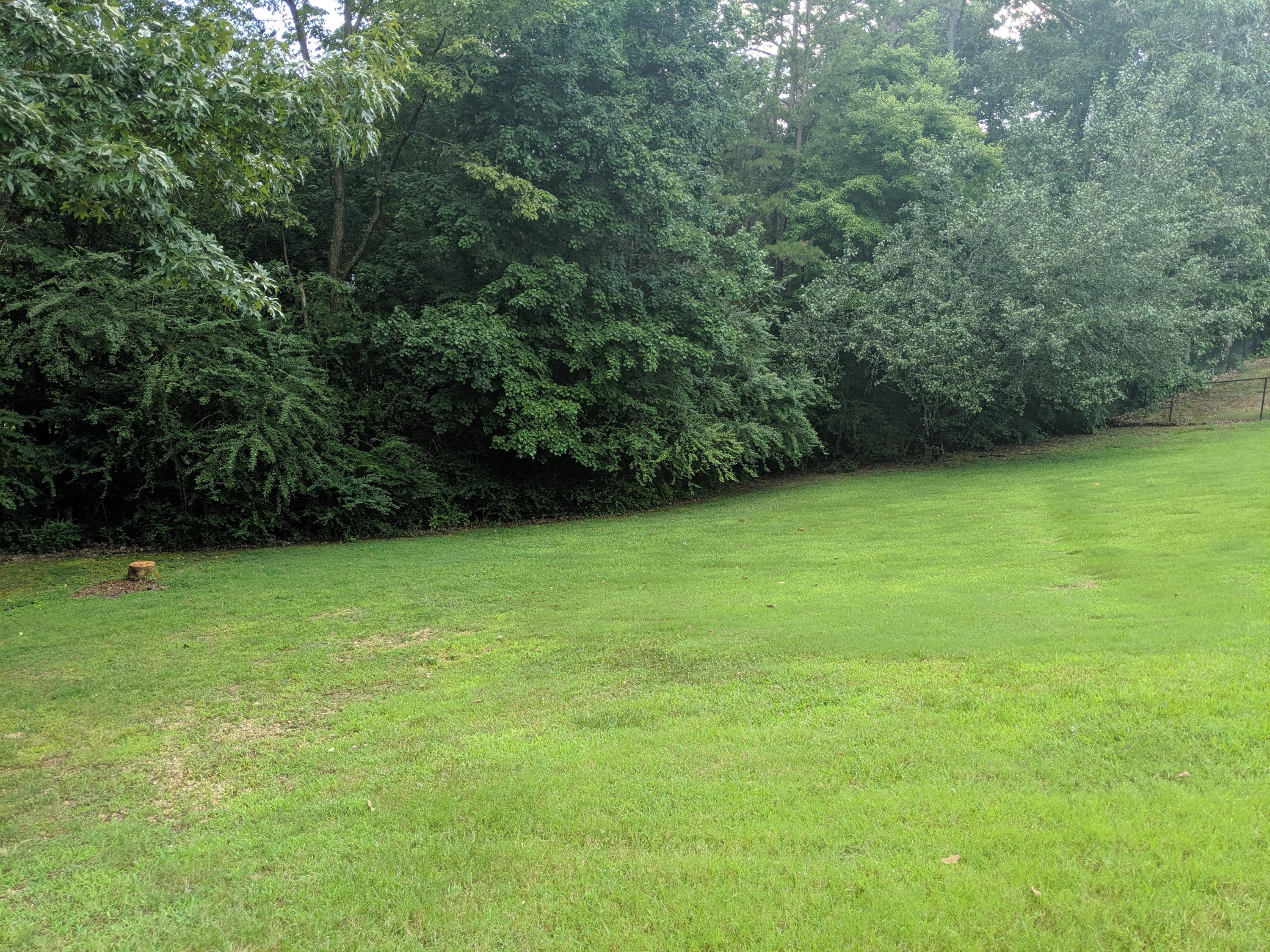 5717 Riley Road Ooltewah, TN 37363 - Photo 35 of 51 5717 Riley Road