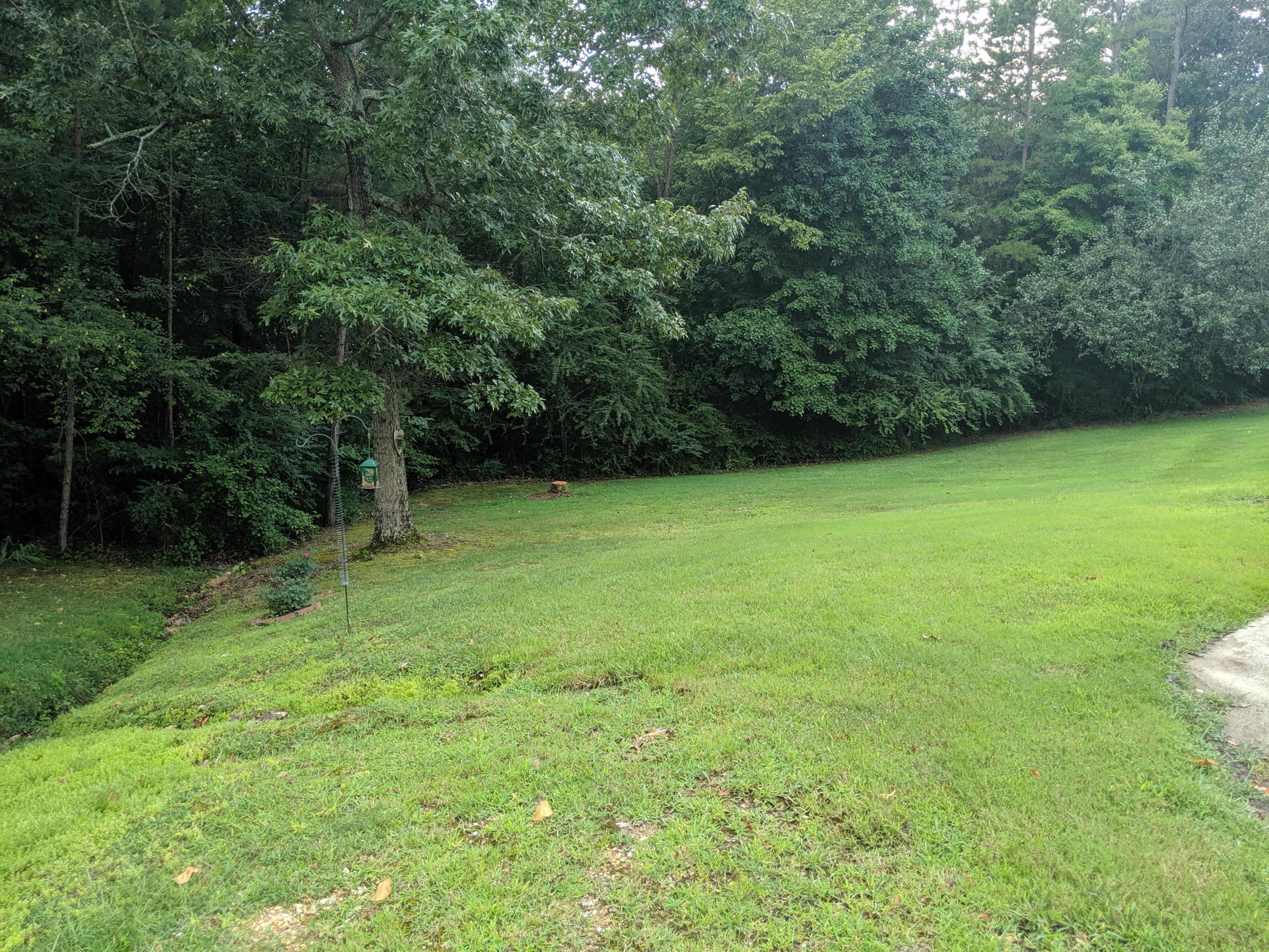 5717 Riley Road Ooltewah, TN 37363 - Photo 37 of 51 5717 Riley Road