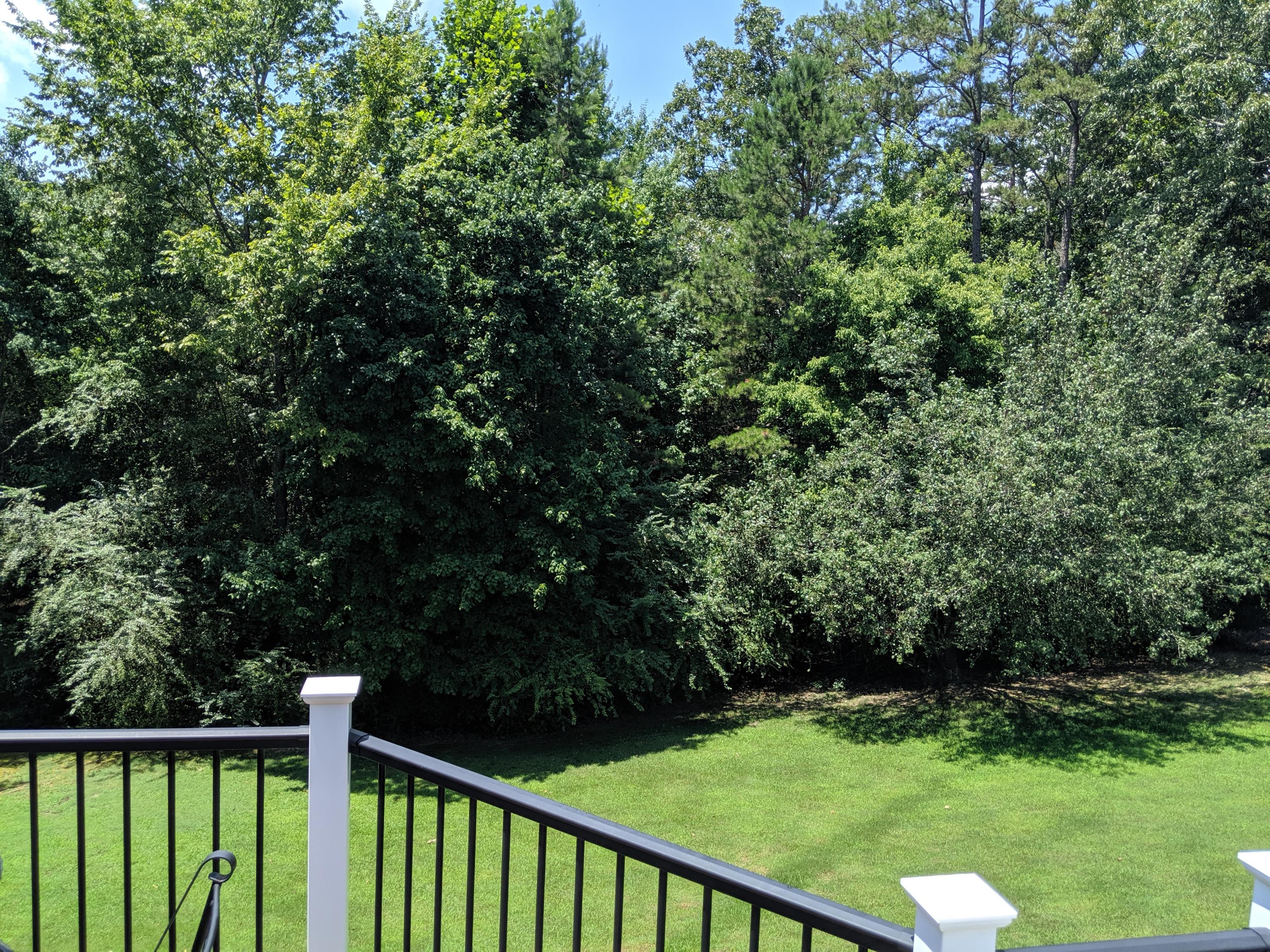 5717 Riley Road Ooltewah, TN 37363 - Photo 41 of 51 5717 Riley Road