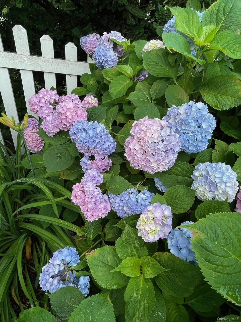 37 Eimer Street Tappan, NY 10983 - Photo 16 of 16 a bunch of flowers are in a garden