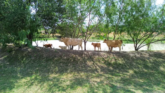 a view of yard with green space and seating area