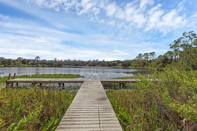 $900,000 | 230 Fisher Run, Ocklawaha, FL 32179