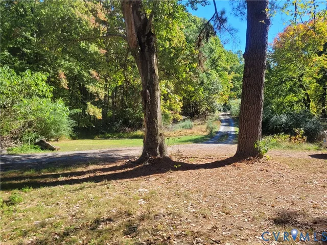 a view of a backyard with large trees