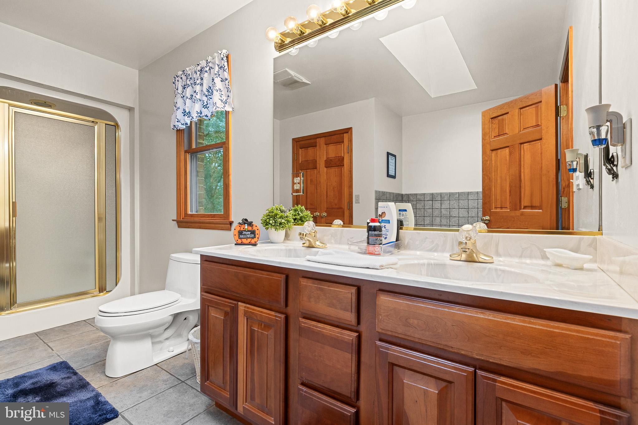 21246 Clarks Mountain Road Rapidan, VA 22733 - Photo 24 of 38 a bathroom with a granite countertop sink toilet and mirror