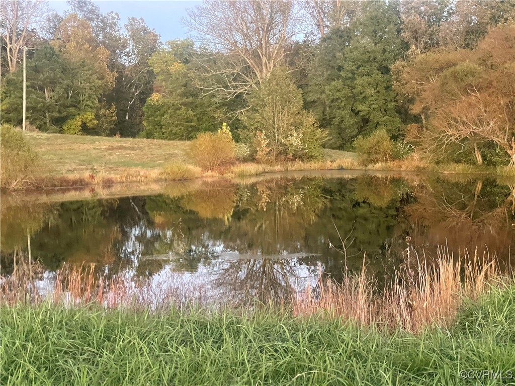 0 Old Beaver Pond Road McKenney, VA 23872 - Photo 6 of 11 Gallery Image 6