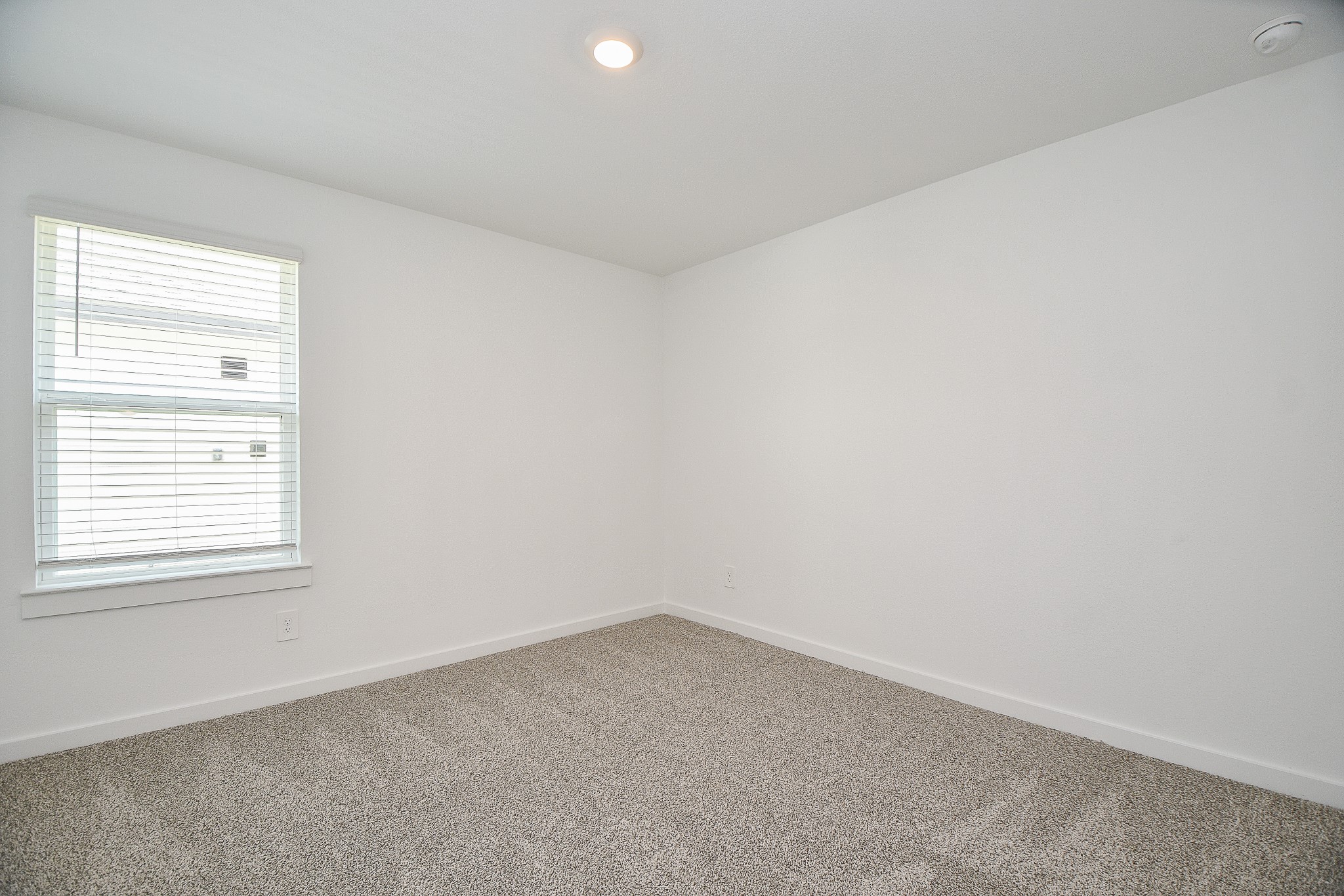 1115 Yaupon Drive Rosharon, TX 77583 - Photo 19 of 32