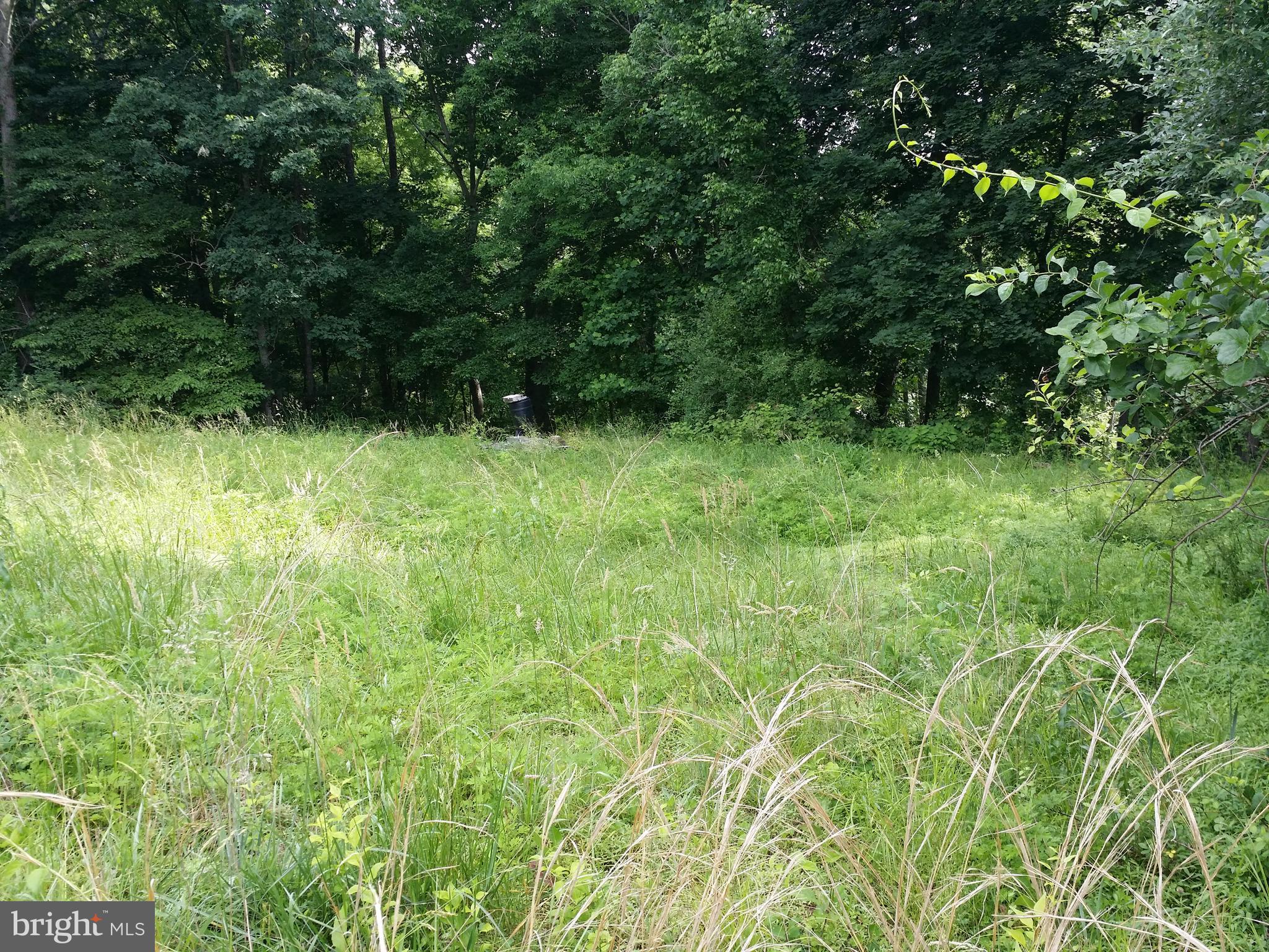 Glencoe Road Sparks, MD 21152 - Photo 2 of 8 Overlooking Big Gunpowder River