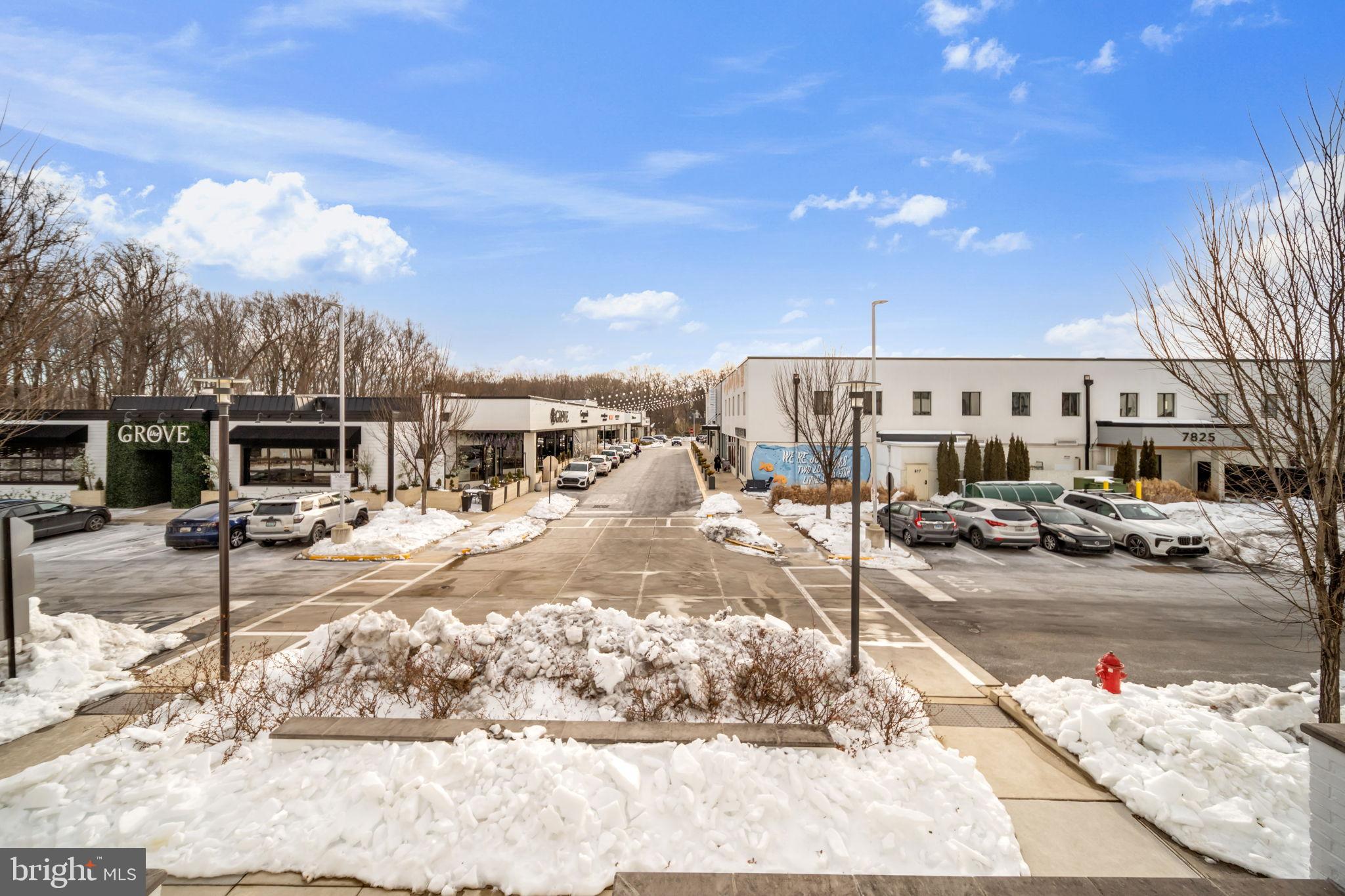 11326 Emerald Park Road Potomac, MD 20854 - Photo 33 of 40 Charming winter scene in a vibrant plaza.