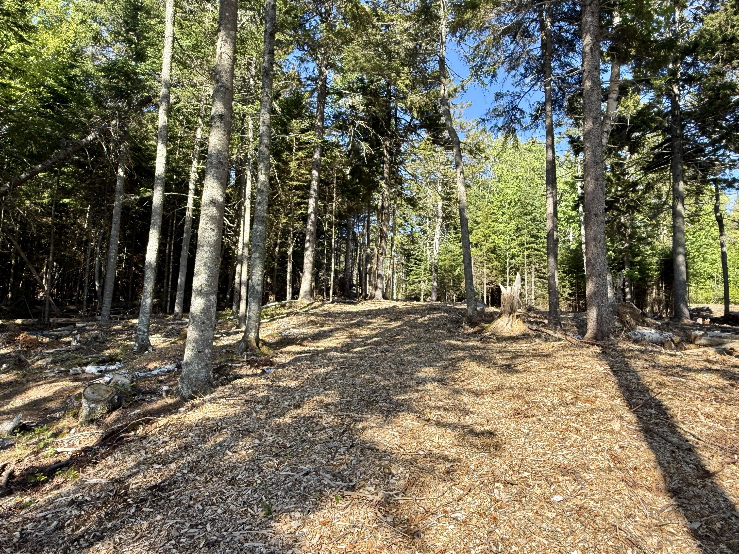 93 Goods Point Road, Unit LOT #2 Steuben, ME 04680 - Photo 7 of 15 IMG_3615