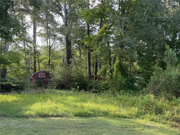 a view of outdoor space with deck and yard