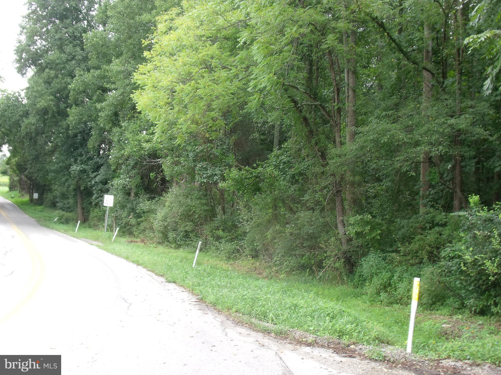 Roths Church And Rockville Rd Spring Grove Pa Spring Grove, PA 17362 - Photo 2 of 8 Gallery Image 2