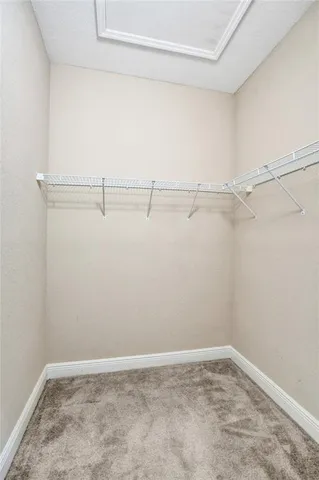 a view of a room with racks on the wall