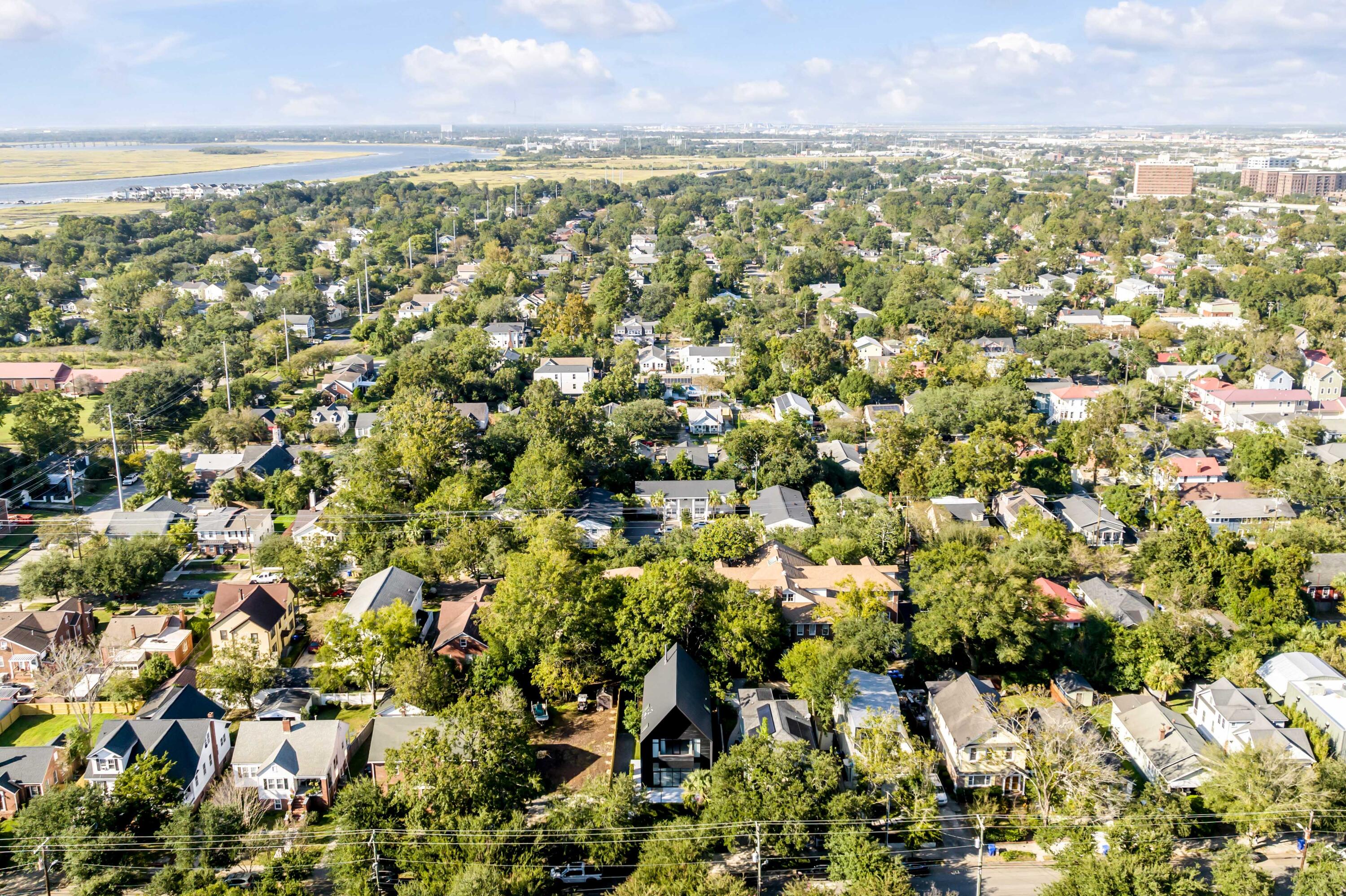 124 Grove Street Charleston, SC 29403 - Photo 65 of 74 DJI_0374