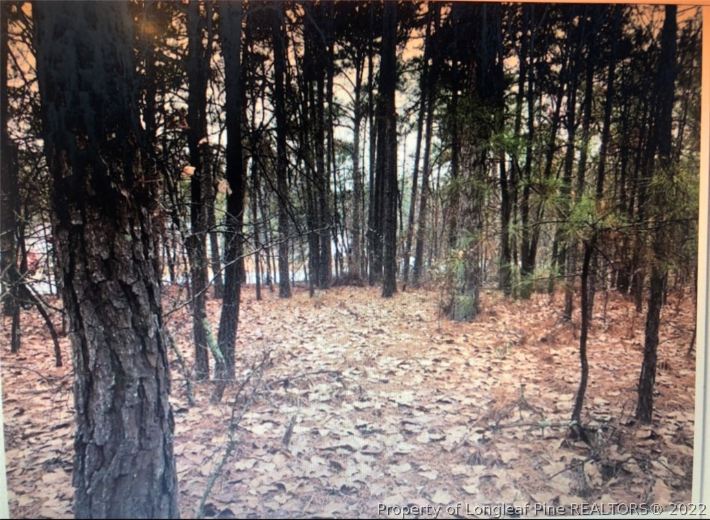 Tbd Kathleen Road Lillington, NC 27546 - Photo 2 of 2 Gallery Image 2