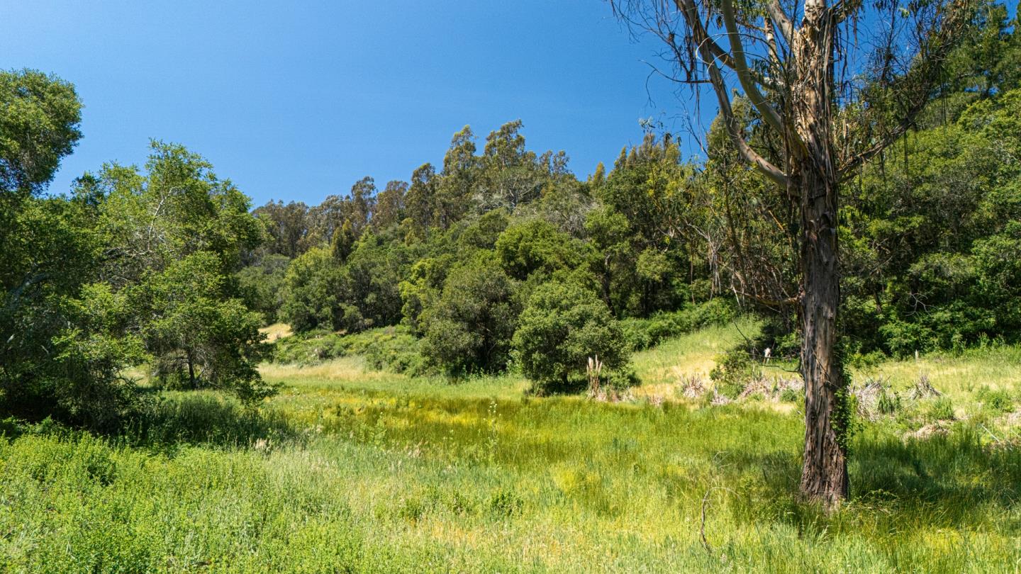 3554 Paul Sweet Road Santa Cruz, CA 95065 - Photo 9 of 18