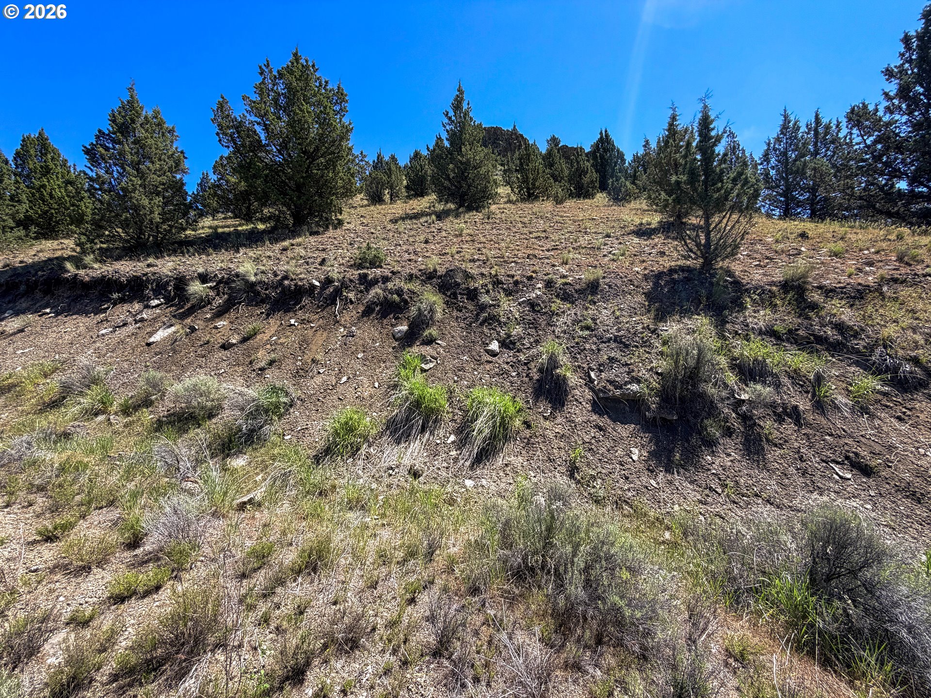 Luce Creek Road John Day, OR 97845 - Photo 12 of 18