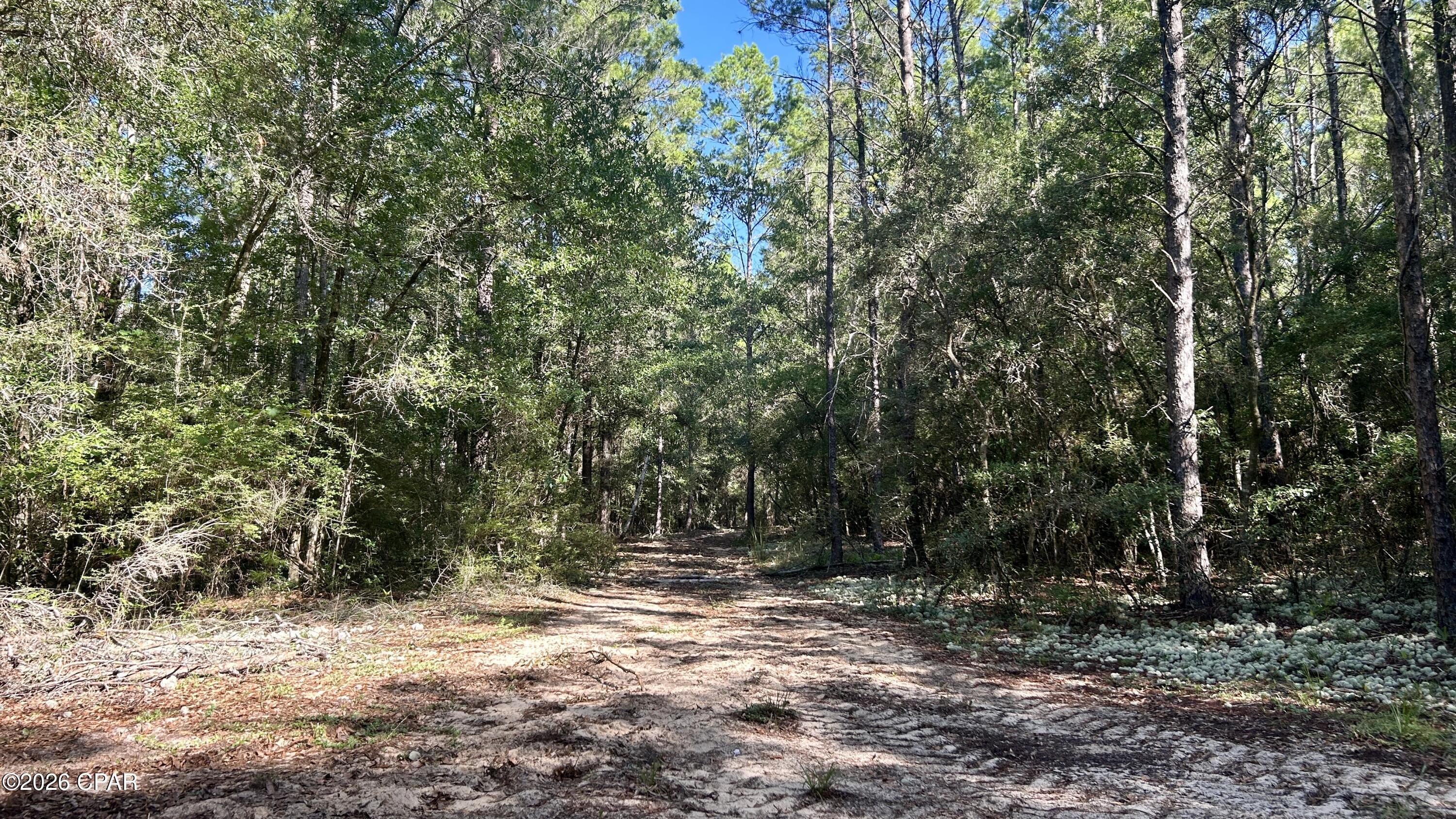 B Trawick Creek Road Holt, FL 32564 - Photo 12 of 27 Gallery Image 12