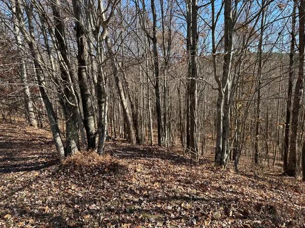 $22,500 | 0 Thunder Ridge Drive, Sherwood, TN 37376