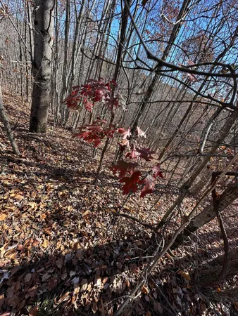 $22,500 | 0 Thunder Ridge Drive, Sherwood, TN 37376