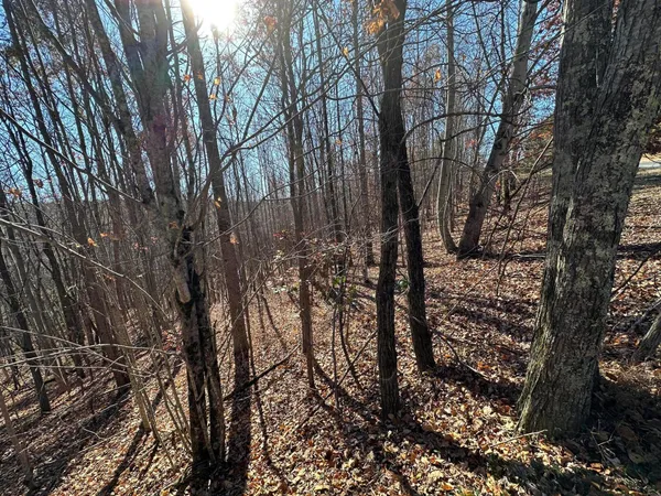 $22,500 | 0 Thunder Ridge Drive, Sherwood, TN 37376