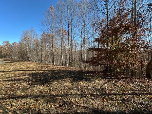 $22,500 | 0 Thunder Ridge Drive, Sherwood, TN 37376