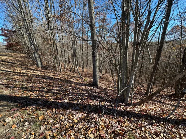 $22,500 | 0 Thunder Ridge Drive, Sherwood, TN 37376