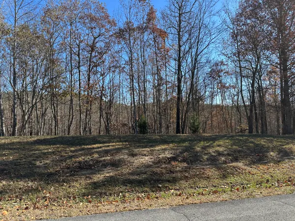 $22,500 | 0 Thunder Ridge Drive, Sherwood, TN 37376
