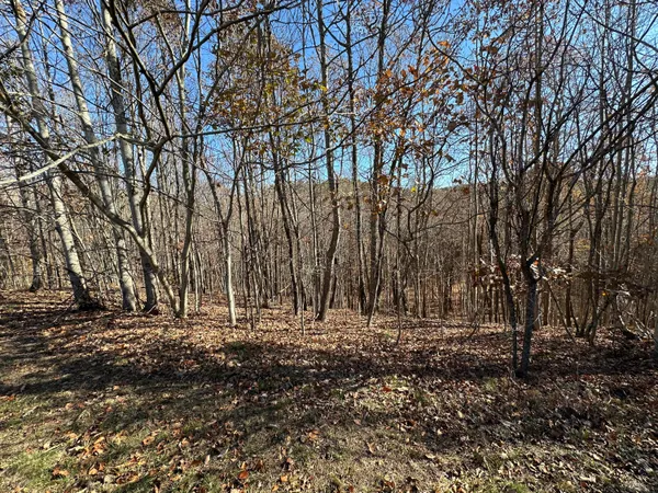 $22,500 | 0 Thunder Ridge Drive, Sherwood, TN 37376